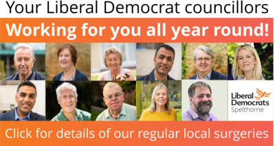 Lib Dem Councillor Header