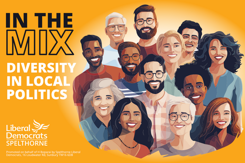 Diversity in local politics