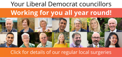 Councillors