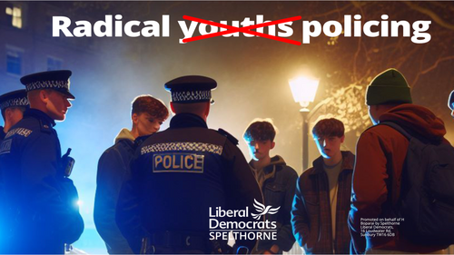 Radical policing