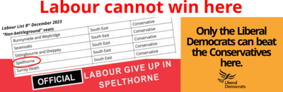 Labour Party give up in Spelthorne