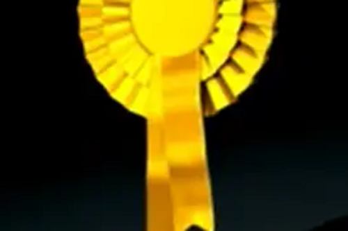 Liberal democrat rosette